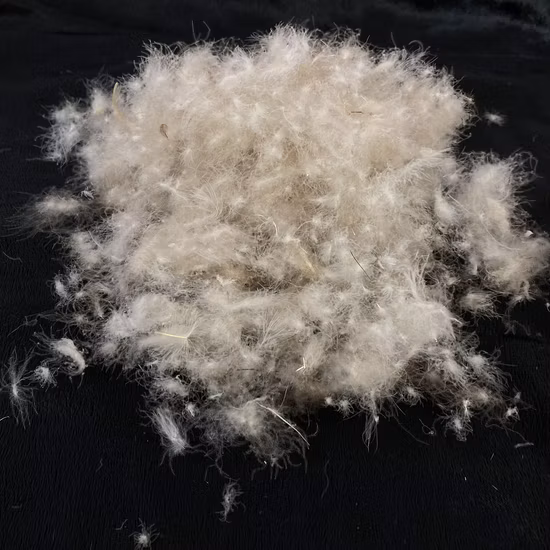 Gebrauchtes recyceltes 800-gefülltes Power-Ersatzkissen, 85 % gewaschene weiße Entendaunen