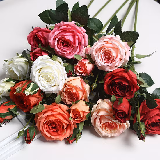 Hundehütte, weiches Haustierbett, kleines Katzenzelt, blumenförmiges Katzenbett