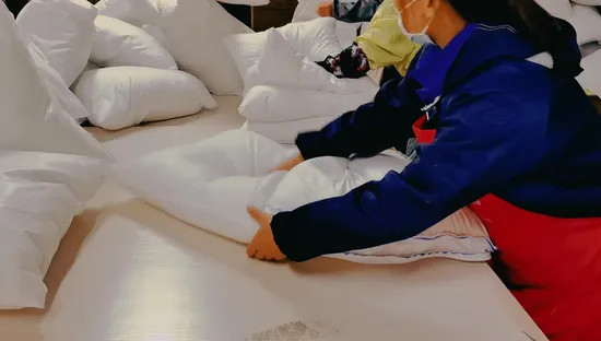 Hersteller Großhandel mit Gänse-/Entenfedern aus 100 % Bio-Baumwolle, gefüllt mit Premium-Qualität, Standardgröße, Hotel-Heimbett-Schlafkissen in Vakuumverpackung